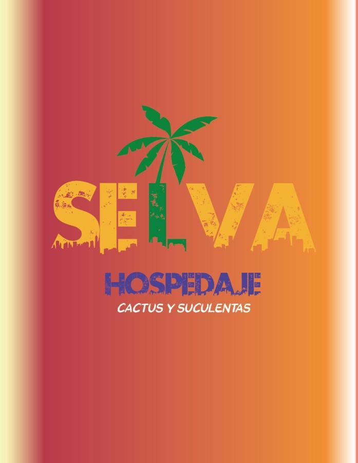 Selva Hospedaje Valparaíso Kültér fotó