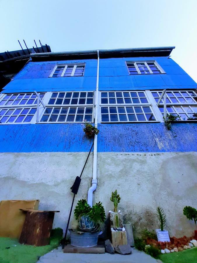 Selva Hospedaje Valparaíso Kültér fotó